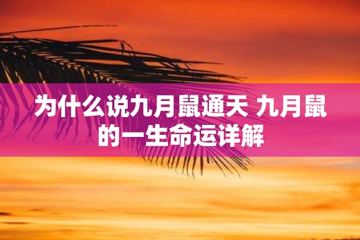 为什么说九月鼠通天 九月鼠的一生命运详解