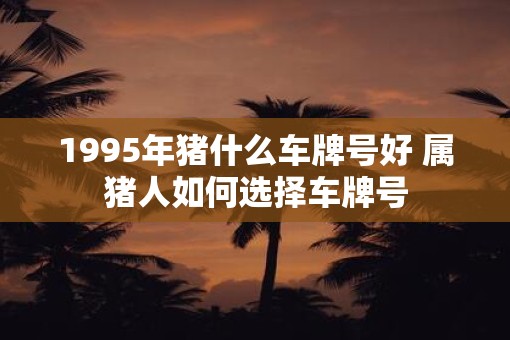 1995年猪什么车牌号好 属猪人如何选择车牌号 1995年猪什么车牌号好 属猪人如何选择车牌号