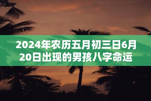 2025年农历五月初三日6月20日出现的男孩八字命运详解