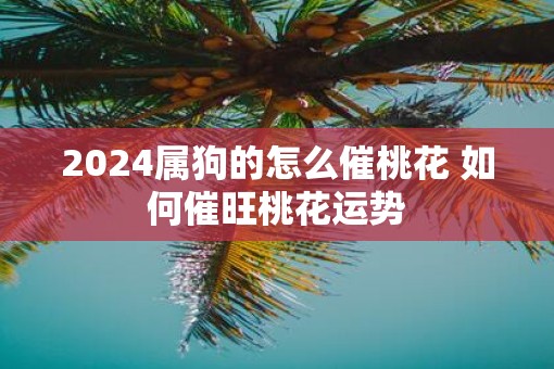 2025属狗的怎么催桃花 如何催旺桃花运势