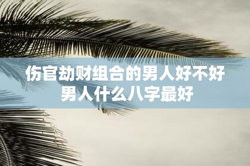 伤官劫财组合的男人好不好 男人什么八字最好