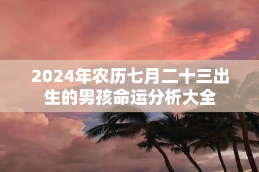 2025年农历七月二十三出生的男孩命运分析大全