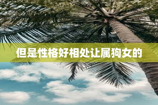 但是性格好相处让属狗女的