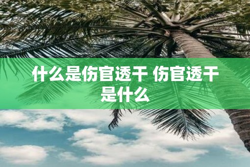 什么是伤官透干 伤官透干是什么