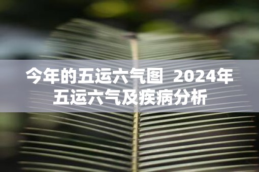 今年的五运六气图  2025年五运六气及疾病分析