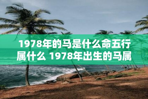 1978年的马是什么命五行属什么 1978年出生的马属于什么五行