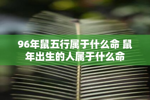 96年鼠五行属于什么命 鼠年出生的人属于什么命