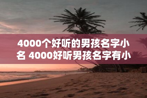 4000个好听的男孩名字小名 4000好听男孩名字有小名吗