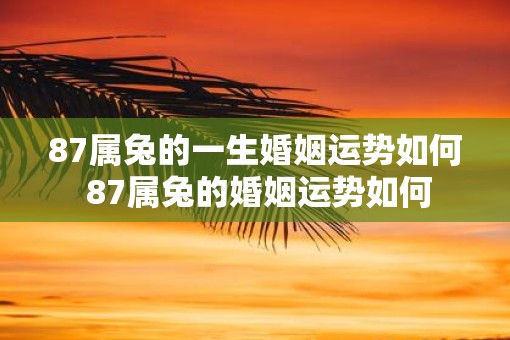 87属兔的一生婚姻运势如何 87属兔的婚姻运势如何