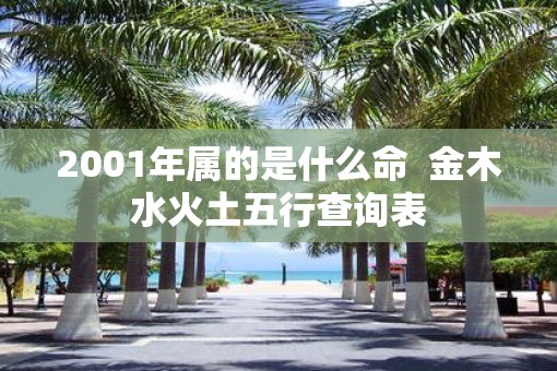 2001年属的是什么命  金木水火土五行查询表
