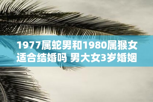 1977属蛇男和1980属猴女适合结婚吗 男大女3岁婚姻