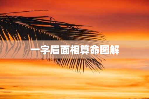 一字眉面相算命图解