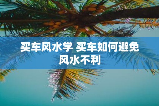买车风水学 买车如何避免风水不利