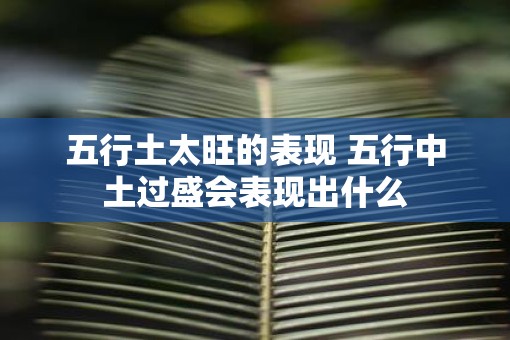 五行土太旺的表现 五行中土过盛会表现出什么
