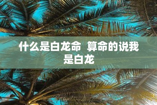 什么是白龙命  算命的说我是白龙