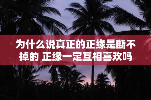 为什么说真正的正缘是断不掉的 正缘一定互相喜欢吗