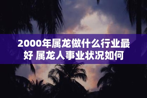 2000年属龙做什么行业最好 属龙人事业状况如何