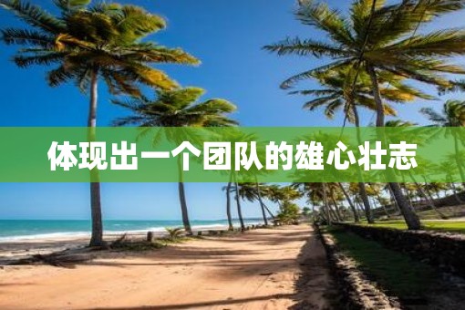 体现出一个团队的雄心壮志