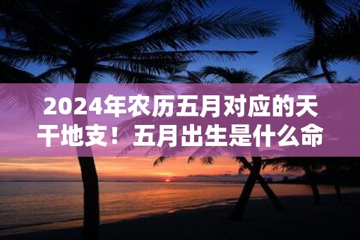 2025年农历五月对应的天干地支！五月出生是什么命格
