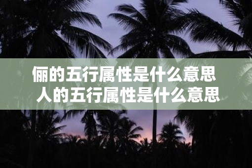 俪的五行属性是什么意思  人的五行属性是什么意思