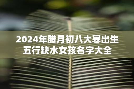 2025年腊月初八大寒出生五行缺水女孩名字大全