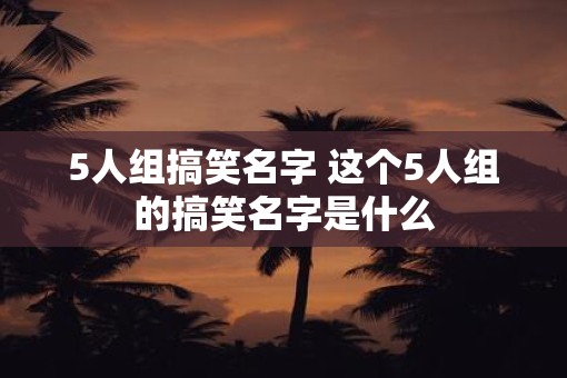 5人组搞笑名字 这个5人组的搞笑名字是什么
