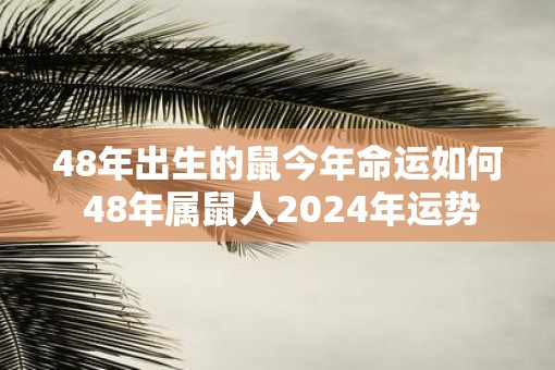 48年出生的鼠今年命运如何 48年属鼠人2025年运势