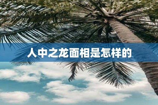 人中之龙面相是怎样的