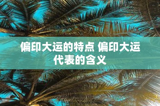 偏印大运的特点 偏印大运代表的含义