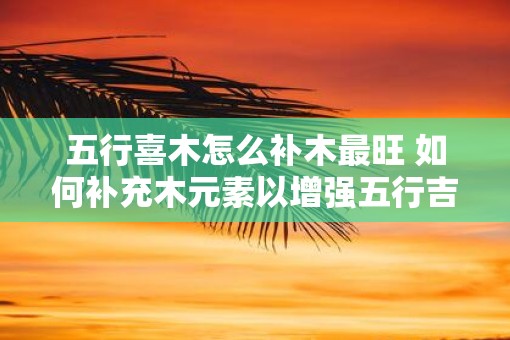 五行喜木怎么补木最旺 如何补充木元素以增强五行吉祥运势