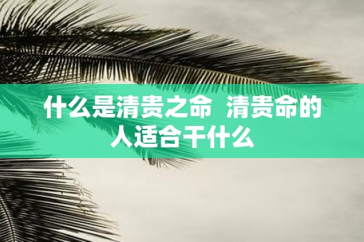 什么是清贵之命  清贵命的人适合干什么