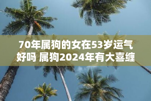 70年属狗的女在53岁运气好吗 属狗2025年有大喜缠身 70年属狗的女在53岁运气好吗 属狗2025年有大喜缠身