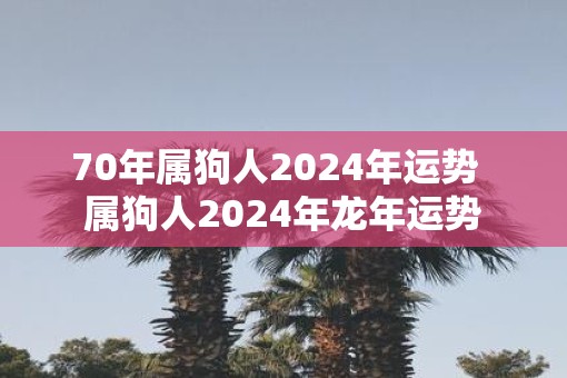70年属狗人2025年运势  属狗人2025年蛇年运势