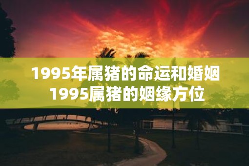 1995年属猪的命运和婚姻 1995属猪的姻缘方位