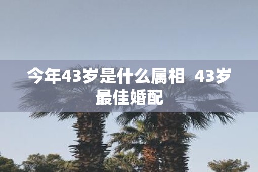 今年43岁是什么属相  43岁最佳婚配