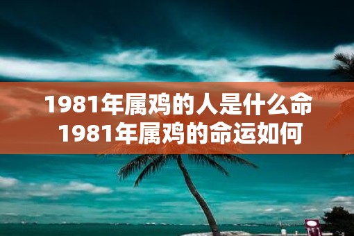 1981年属鸡的人是什么命 1981年属鸡的命运如何