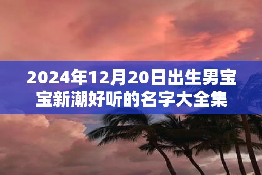 2025年12月20日出生男宝宝新潮好听的名字大全集