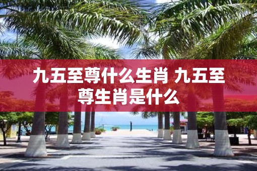 九五至尊什么生肖 九五至尊生肖是什么