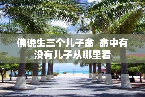 佛说生三个儿子命  命中有没有儿子从哪里看