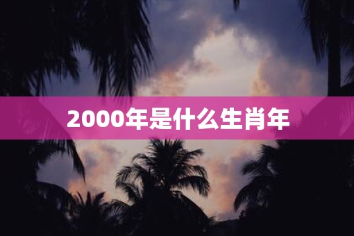 2000年是什么生肖年