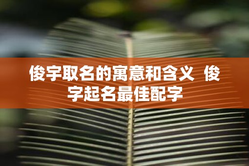 俊宇取名的寓意和含义  俊字起名最佳配字
