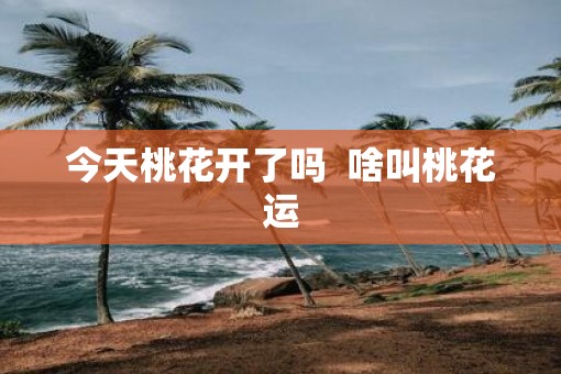 今天桃花开了吗  啥叫桃花运