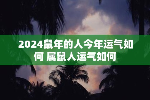 2025鼠年的人今年运气如何 属鼠人运气如何