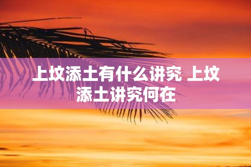 上坟添土有什么讲究 上坟添土讲究何在