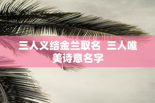 三人义结金兰取名  三人唯美诗意名字