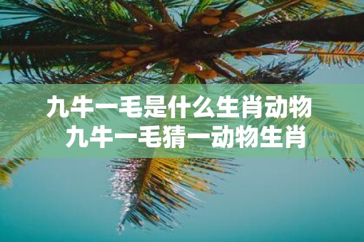 九牛一毛是什么生肖动物  九牛一毛猜一动物生肖
