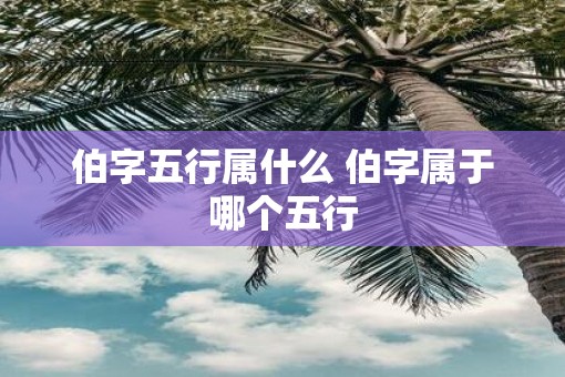 伯字五行属什么 伯字属于哪个五行