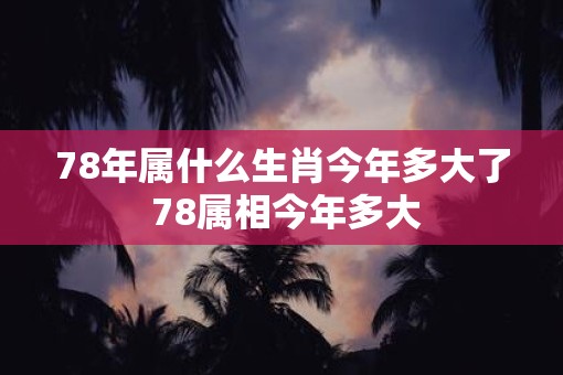 78年属什么生肖今年多大了 78属相今年多大
