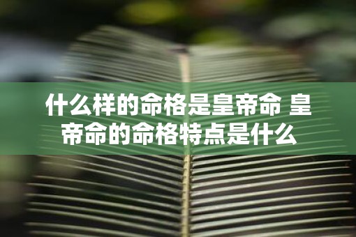 什么样的命格是皇帝命 皇帝命的命格特点是什么