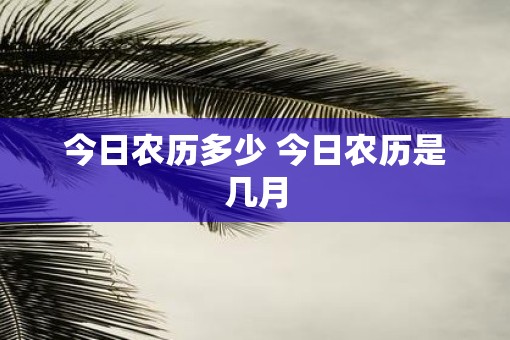 今日农历多少 今日农历是几月